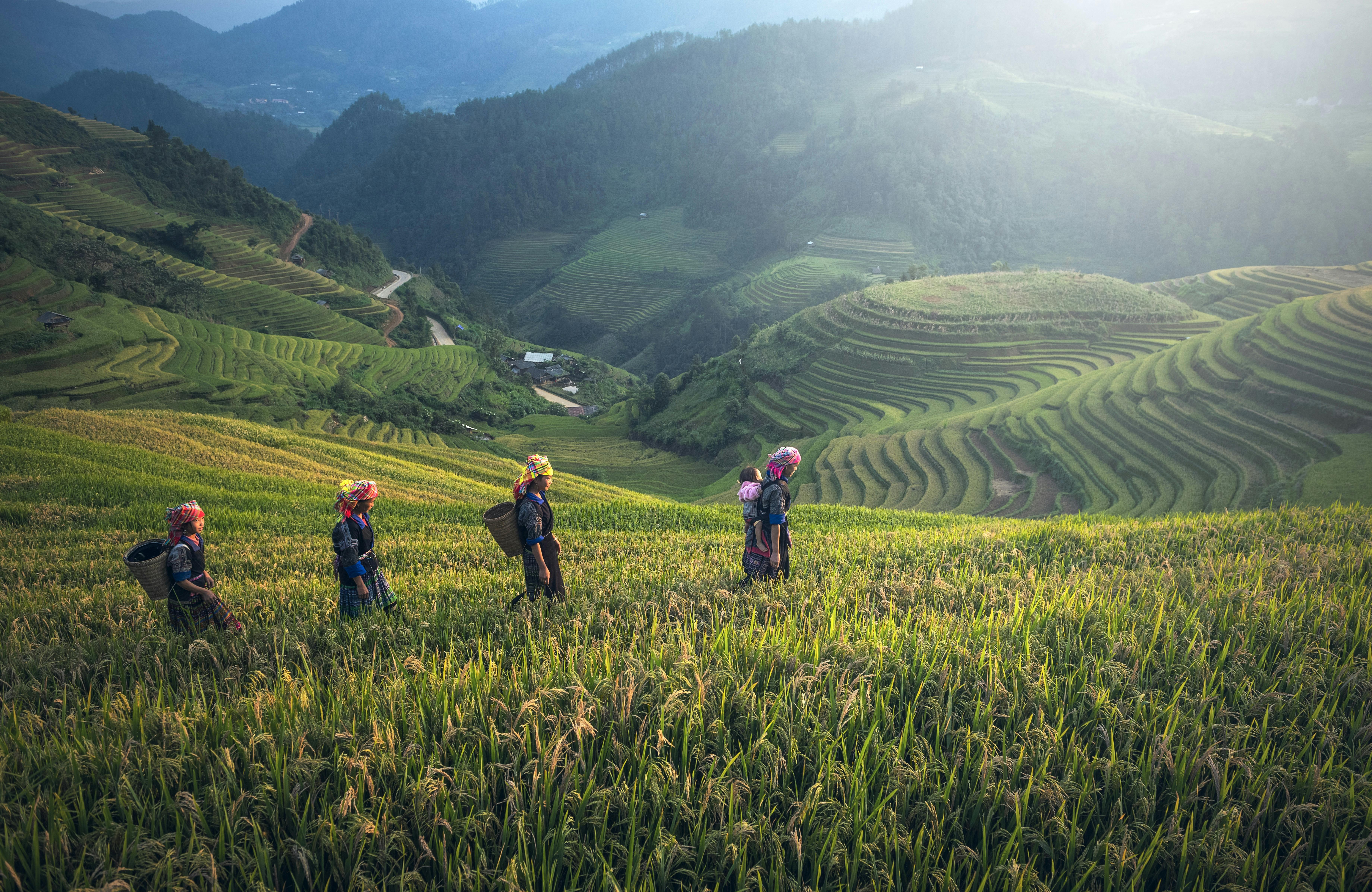 Hanoi, Ninh Binh, Sapa & Halong Bay