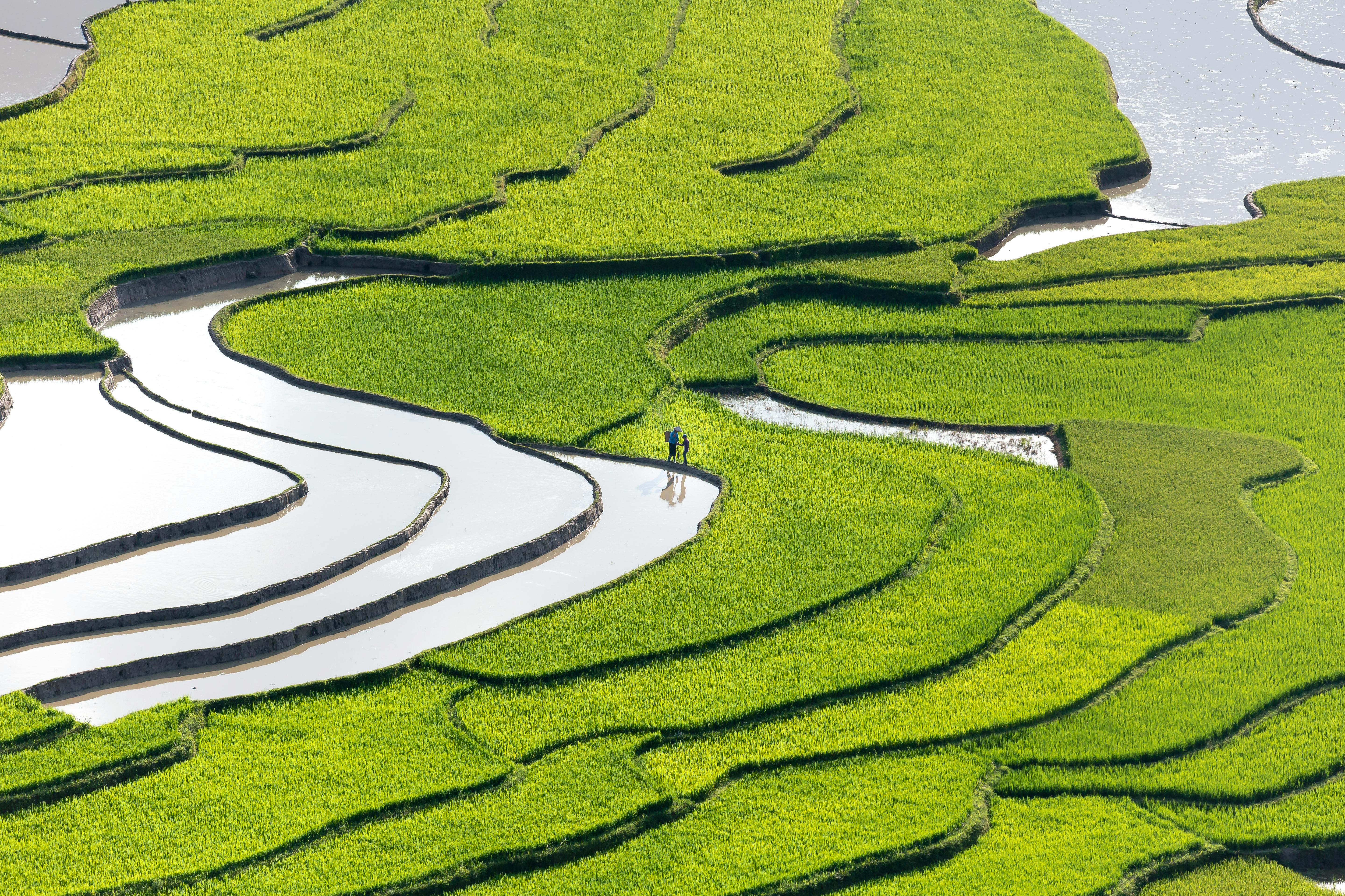 Hanoi, Sapa, Halong, Danang & Ho Chi Minh