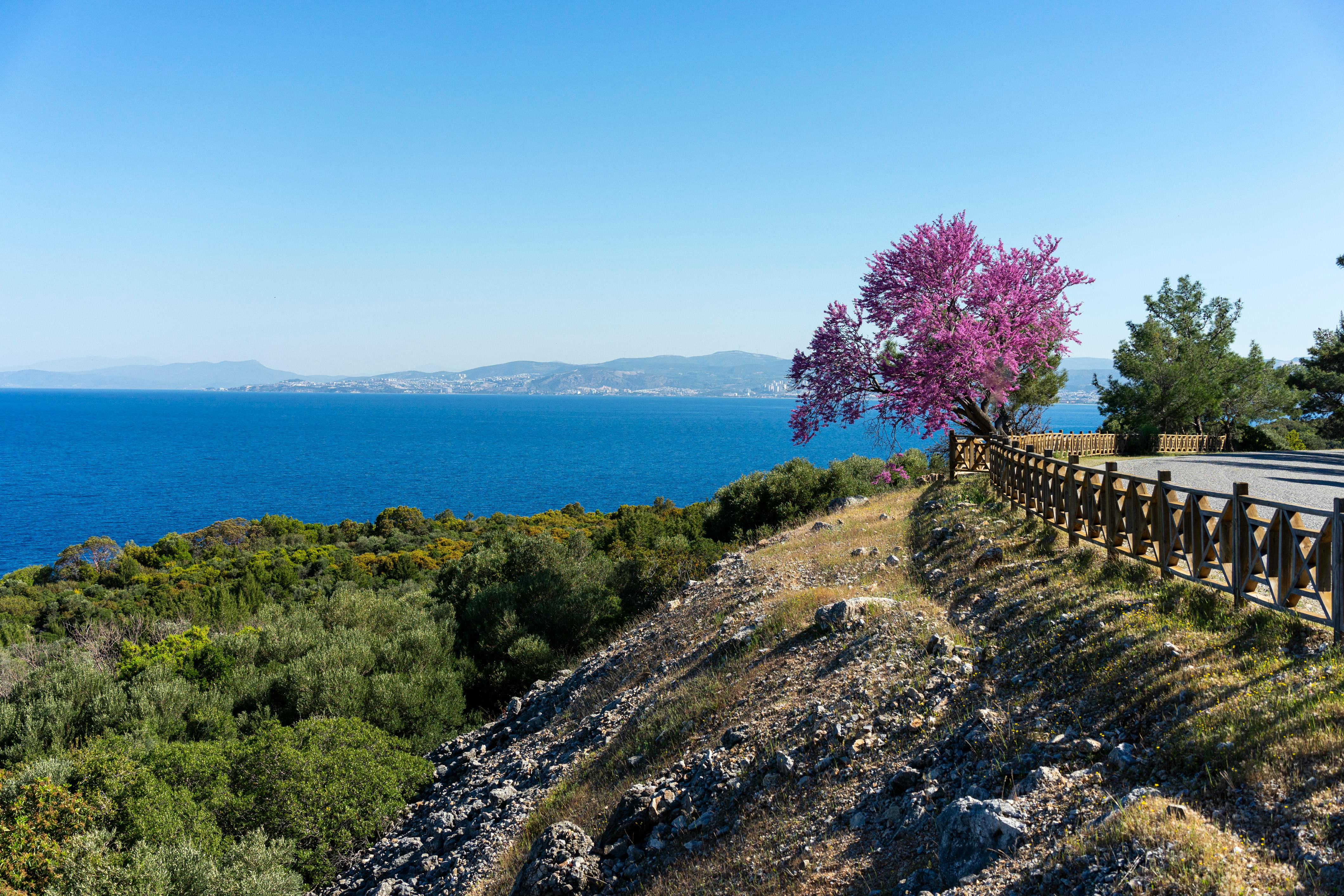 Istanbul & Kusadasi Tour