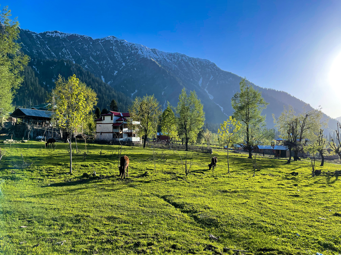 Enchanting Kashmir Valley Getaway