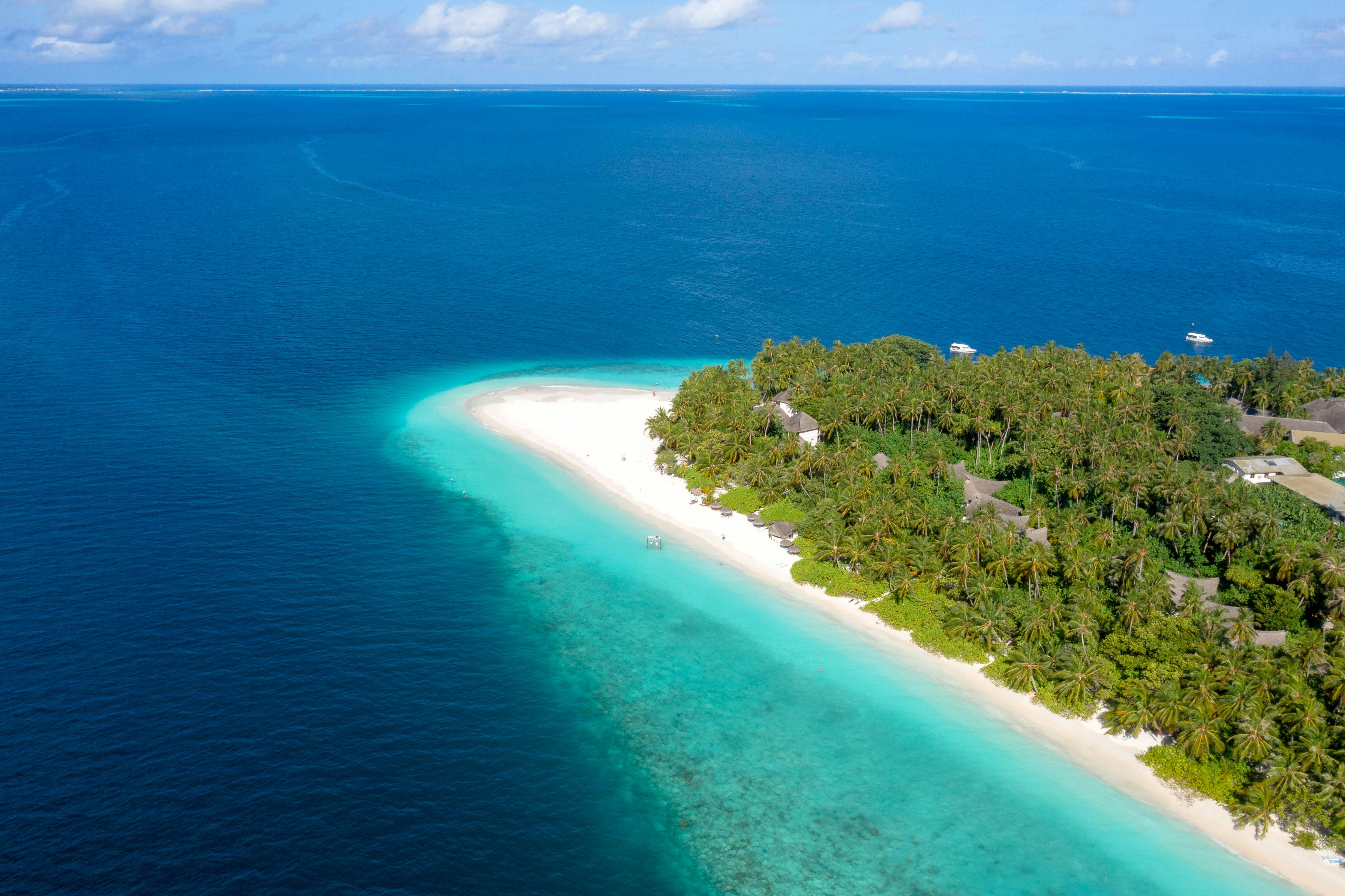 Dynamic Ocean Adventure