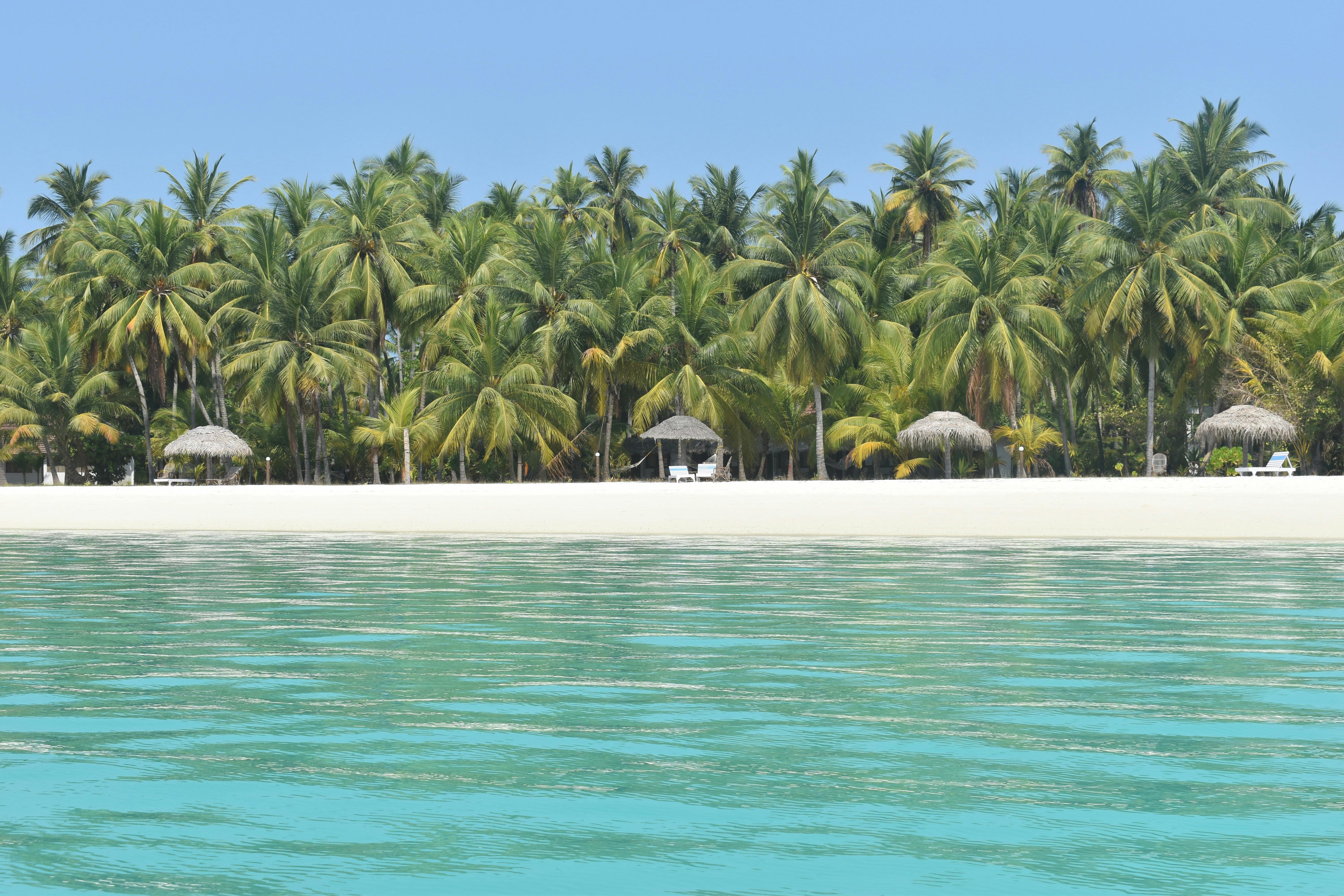 Coral Coast Island Explorer