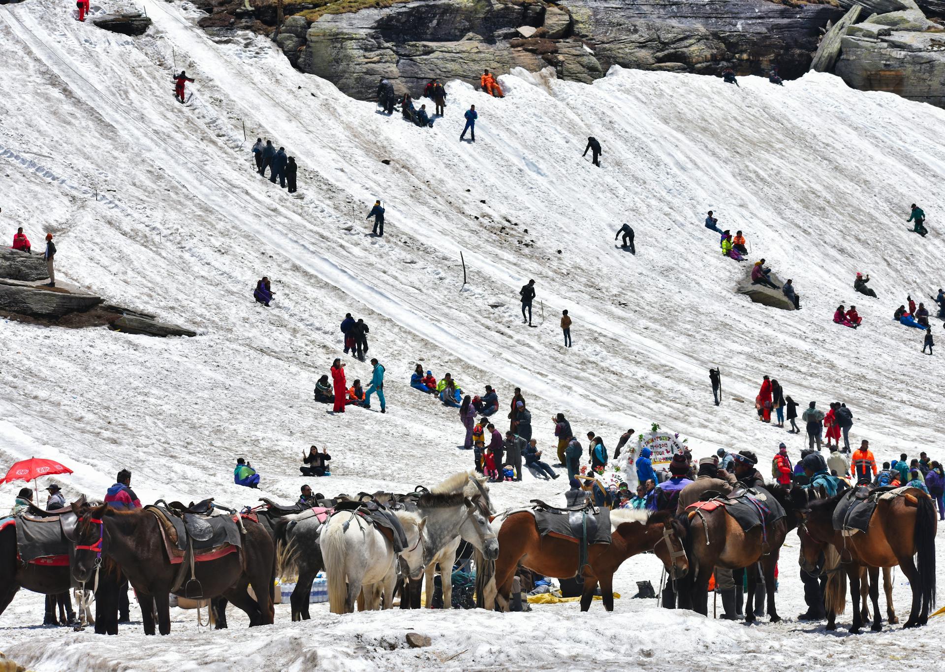 Do Dham Yatra (Kedarnath & Badrinath)