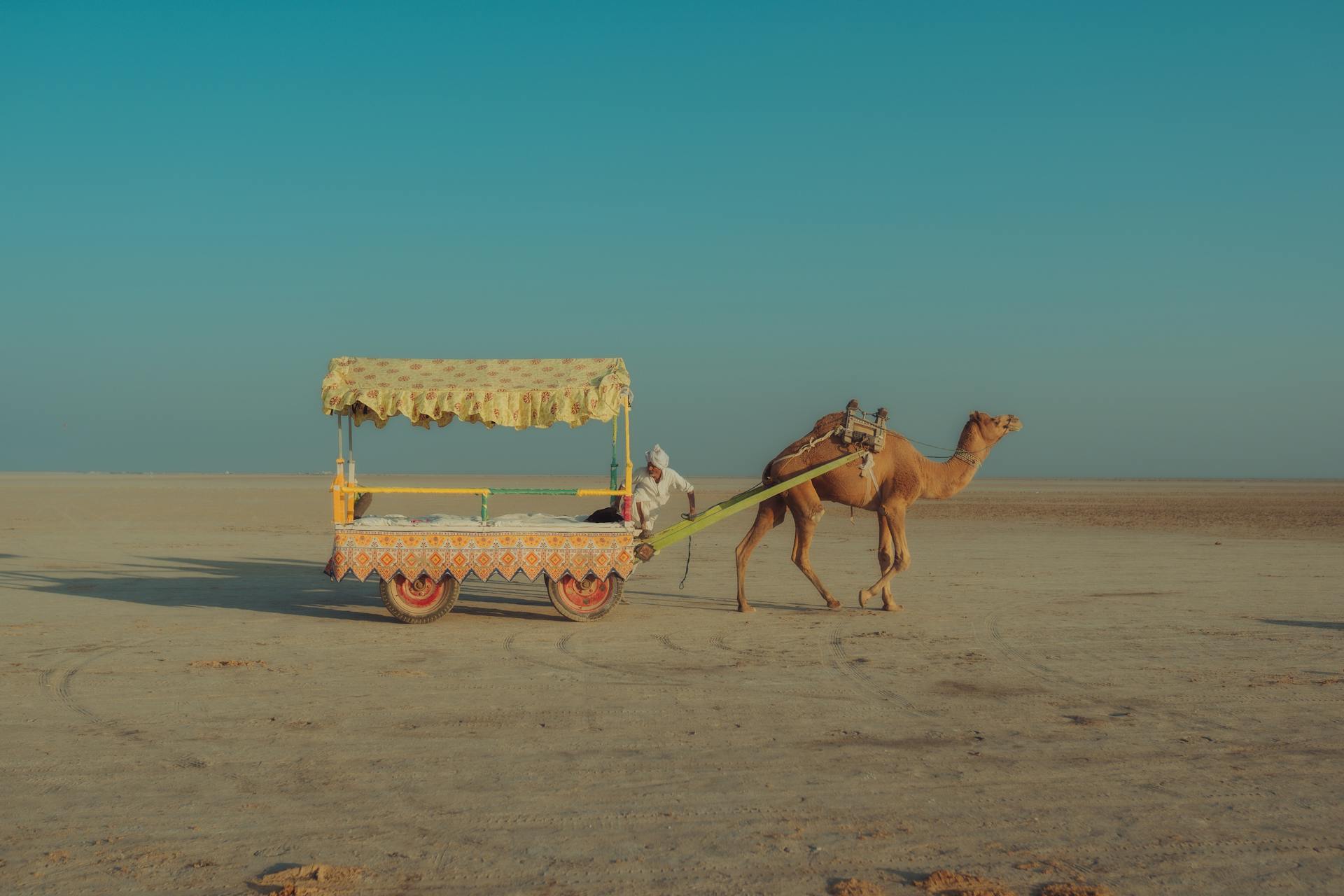 Colors of Gujarat Grand Tour