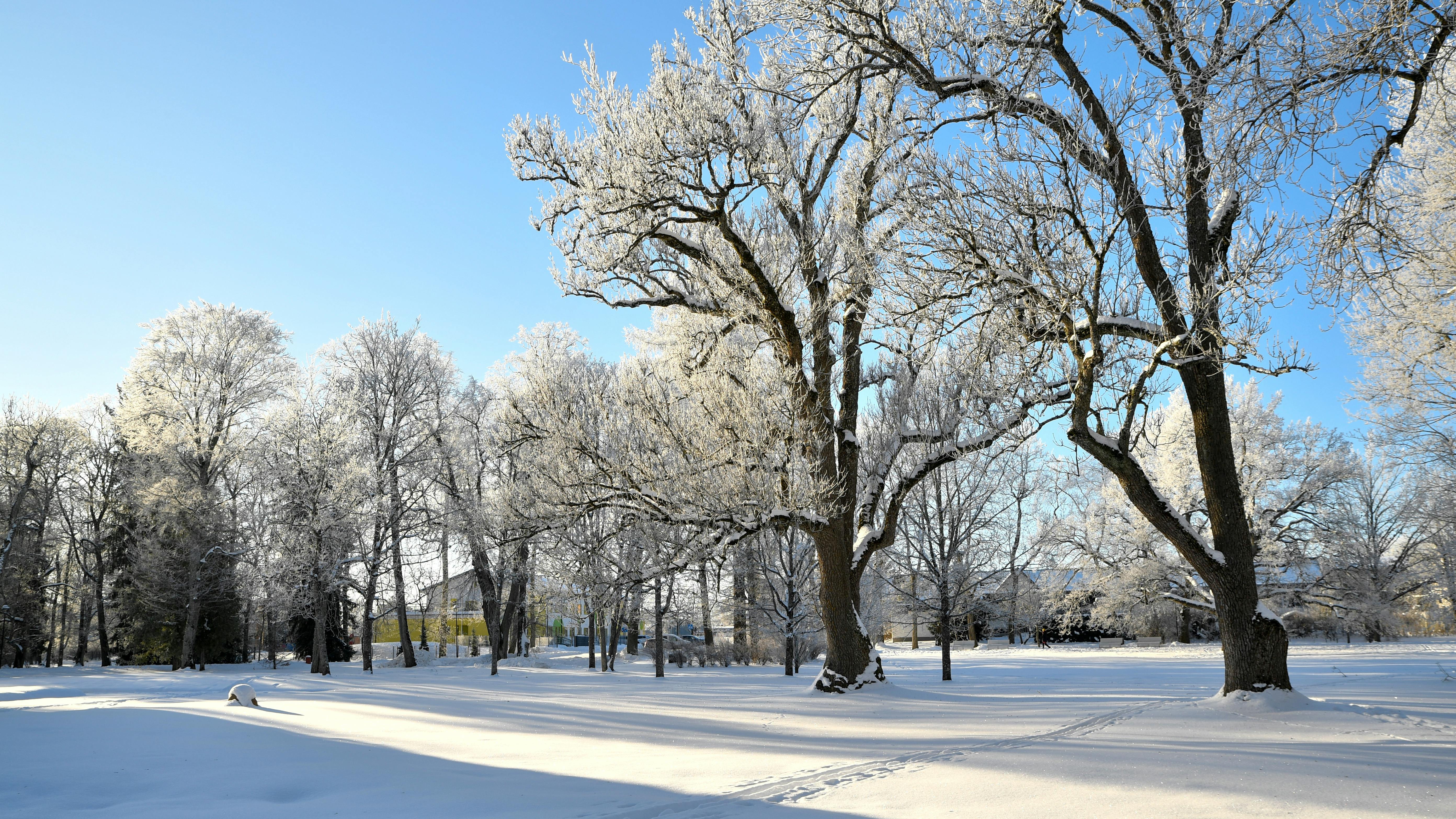 Helsinki Winter Experience