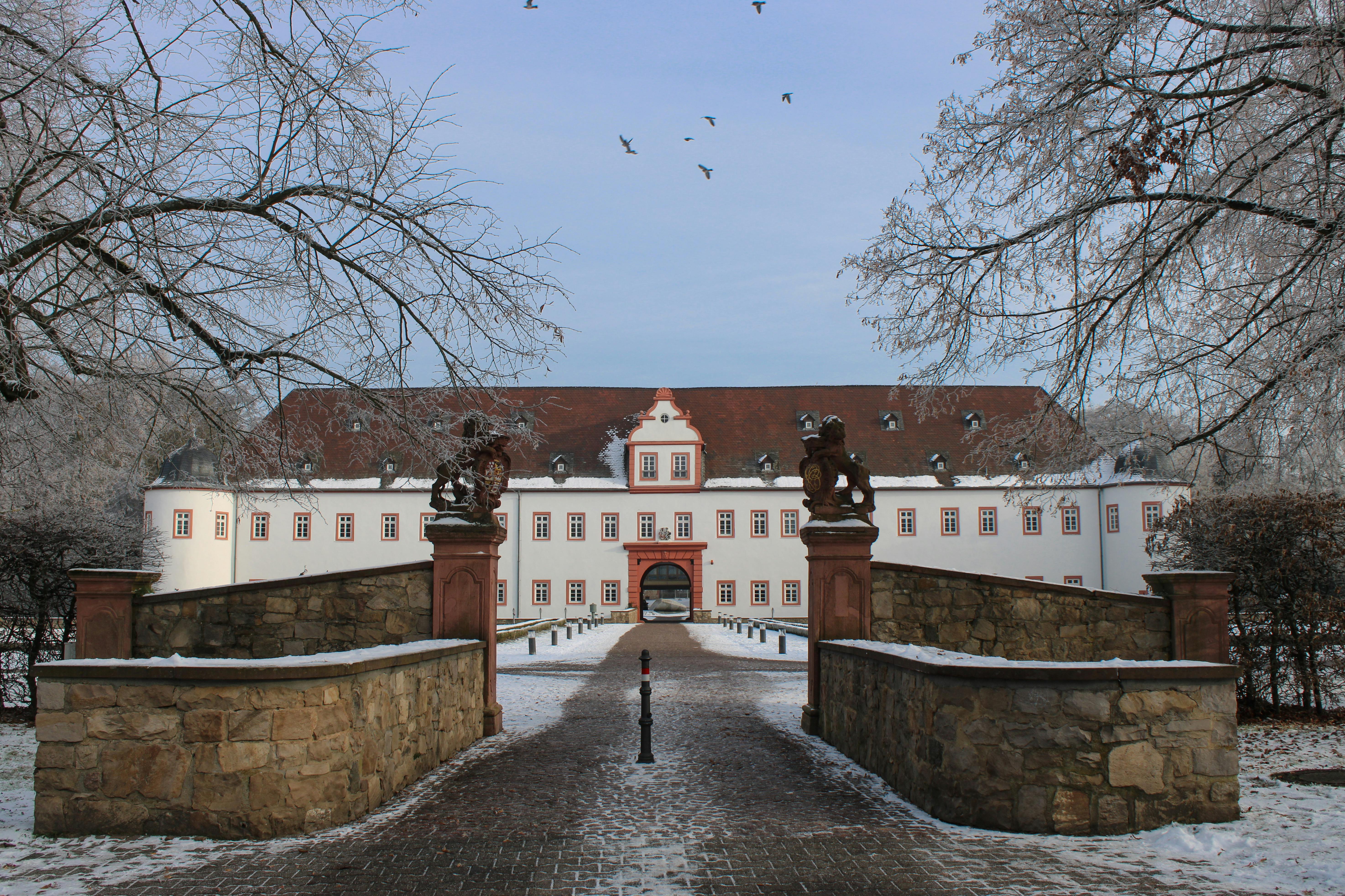 Helsinki Winter Experience
